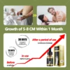 Essential Oil For Man - Image 3